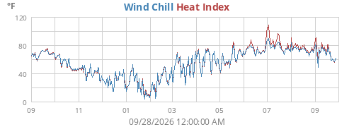 yeartempfeel